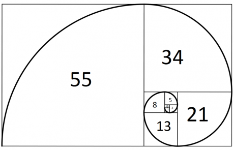 Fibonacci Day | The Works Museum